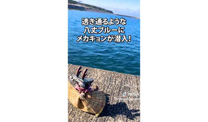 2023_hachijo3_img_01.jpg