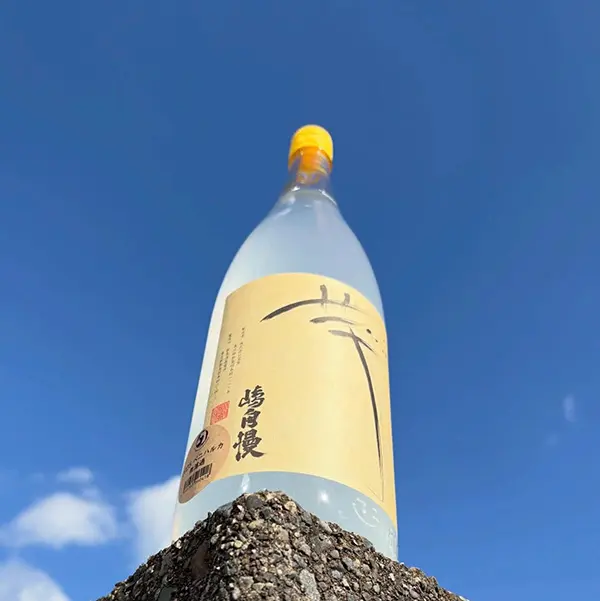 2026-niijima3_03.webp